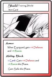 Shield Training Shield